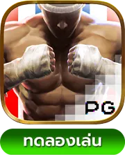 Muay Thai Champion